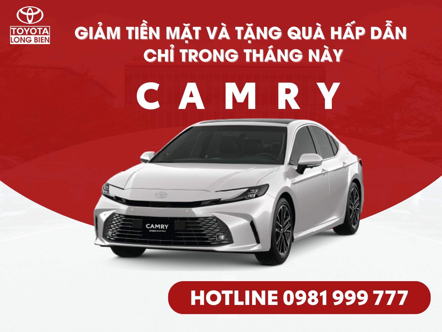 CAMRY HEV TOP CE